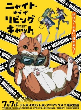 Ночь живых кошаков