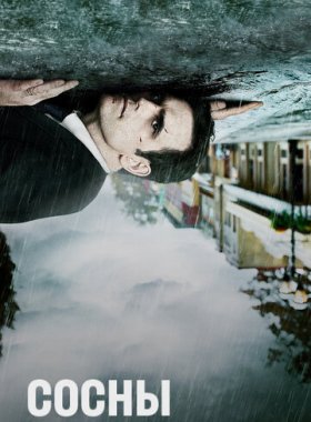 Сосны